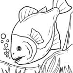 Malvorlage Piranha