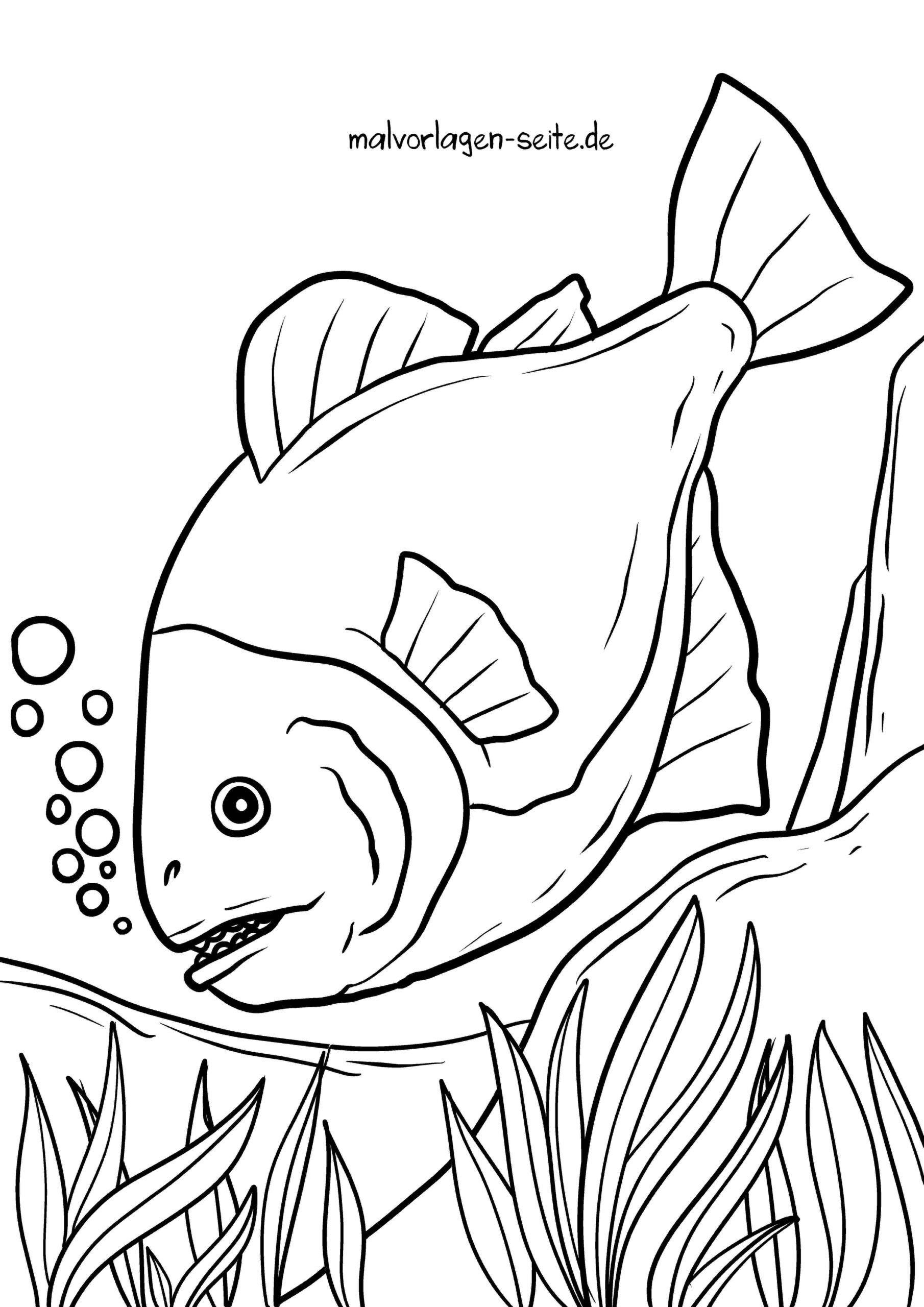 Malvorlage Piranha