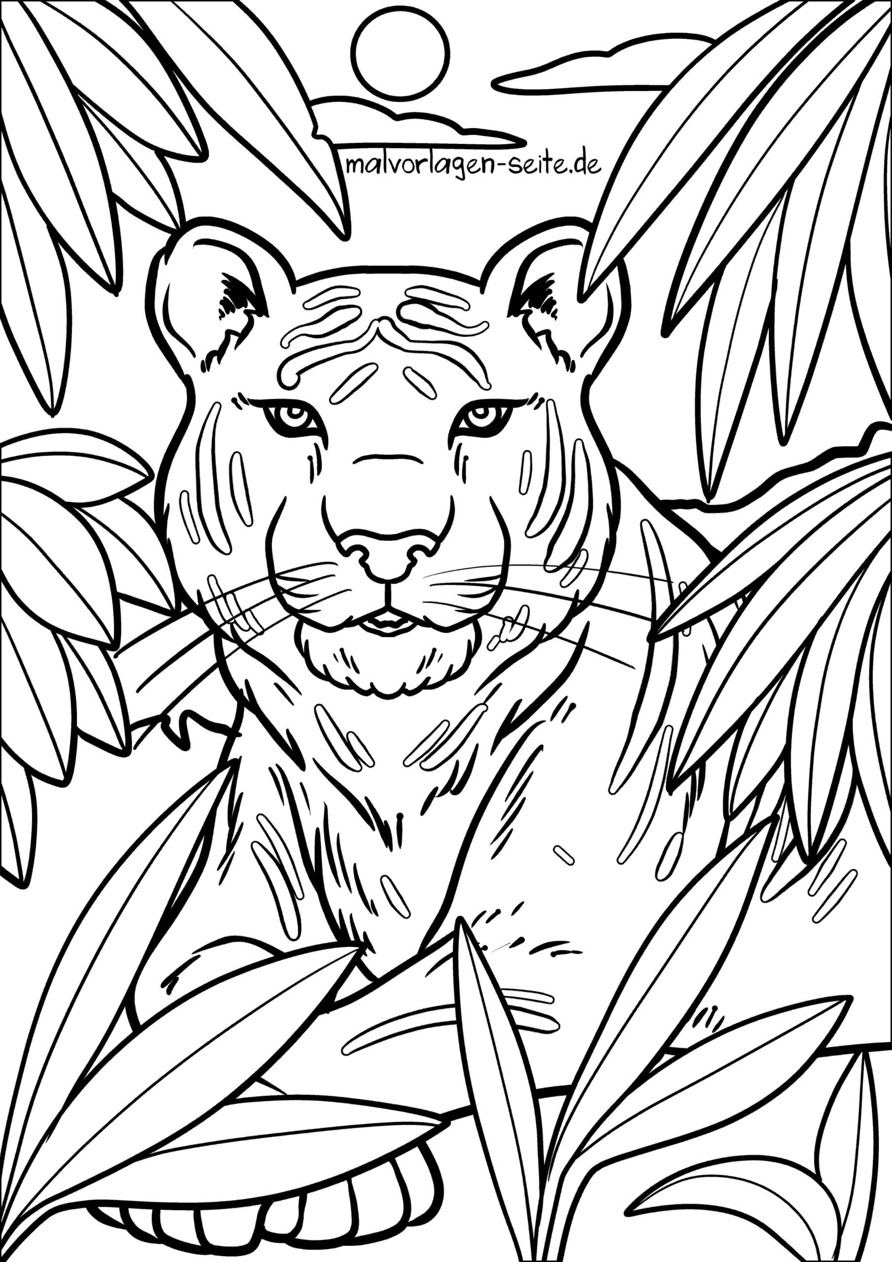 Malvorlage Tiger