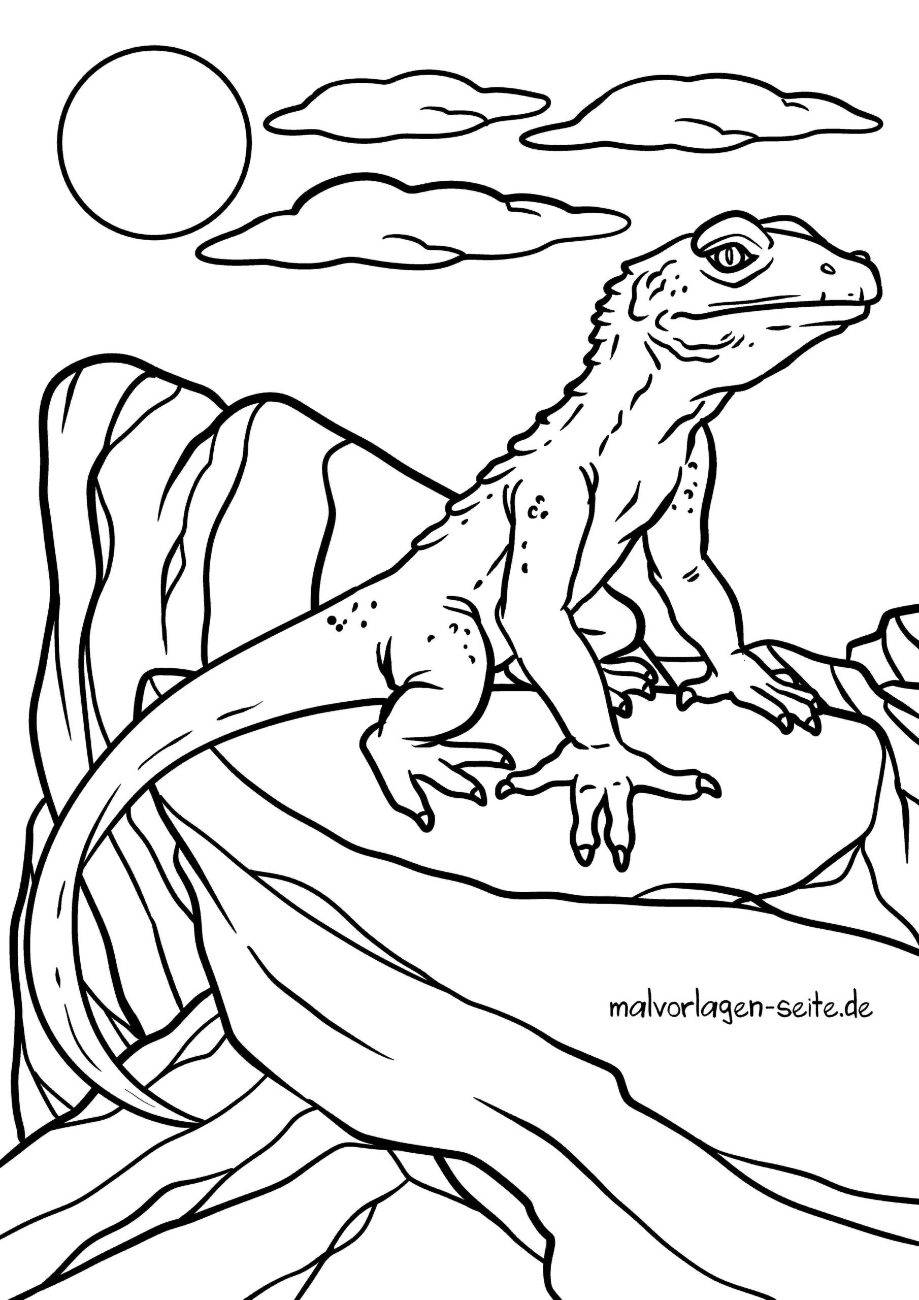 Malvorlage Eidechse