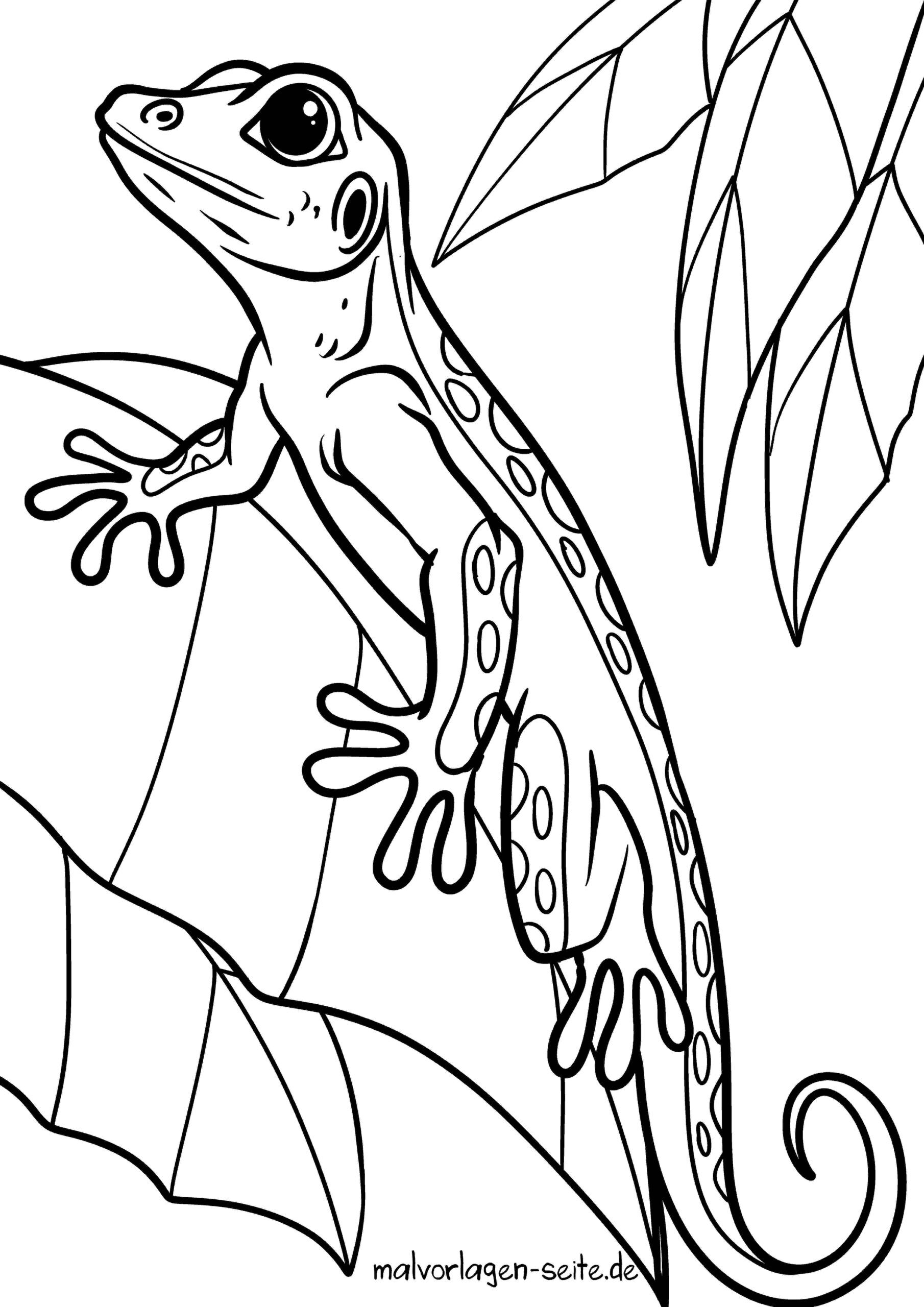 Malvorlage Gecko