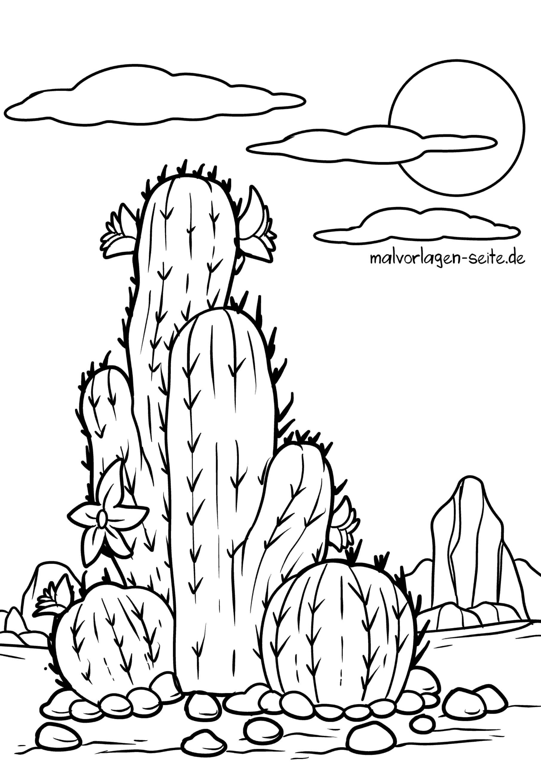Malvorlage Kaktus
