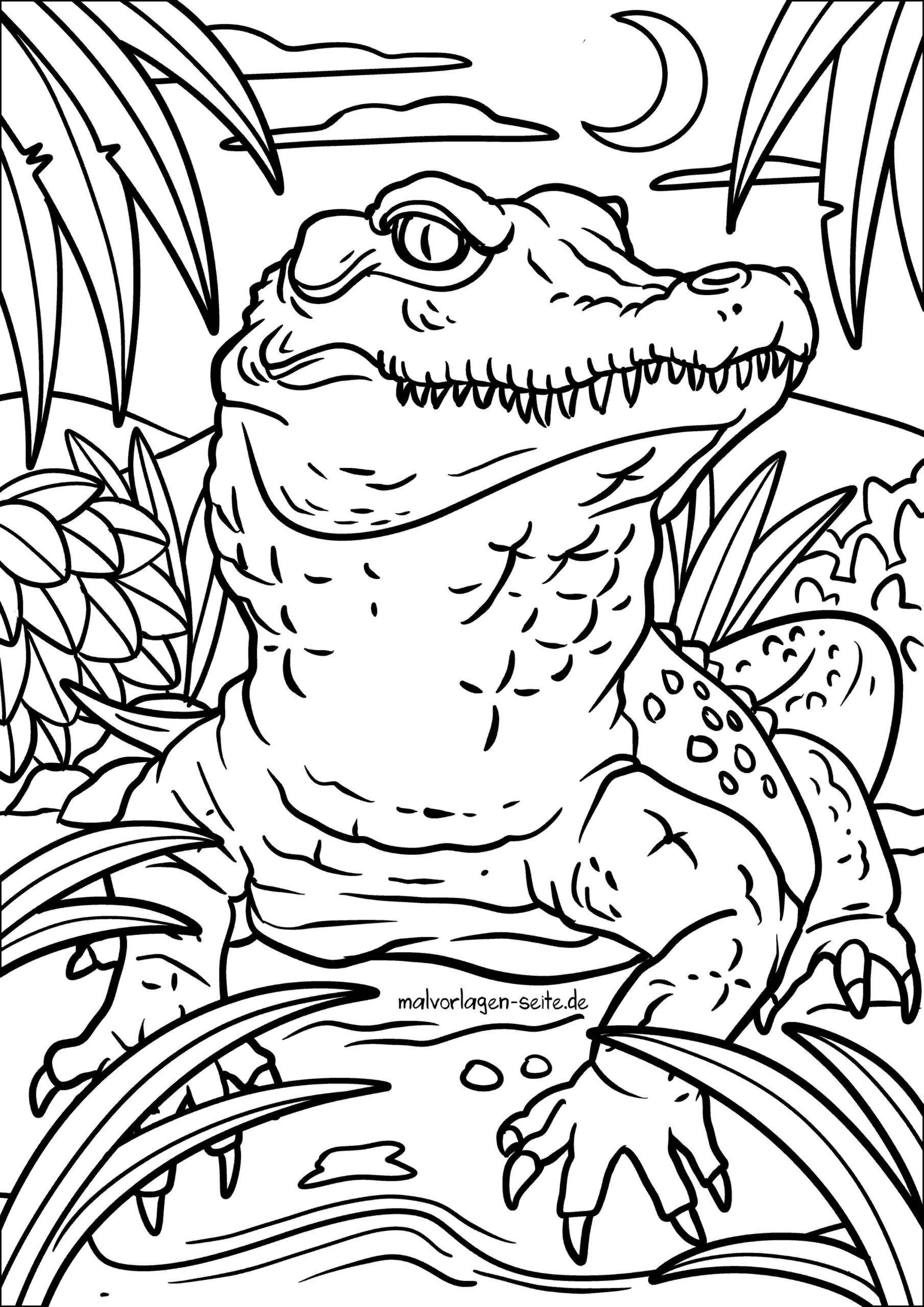 Malvorlage Krokodil