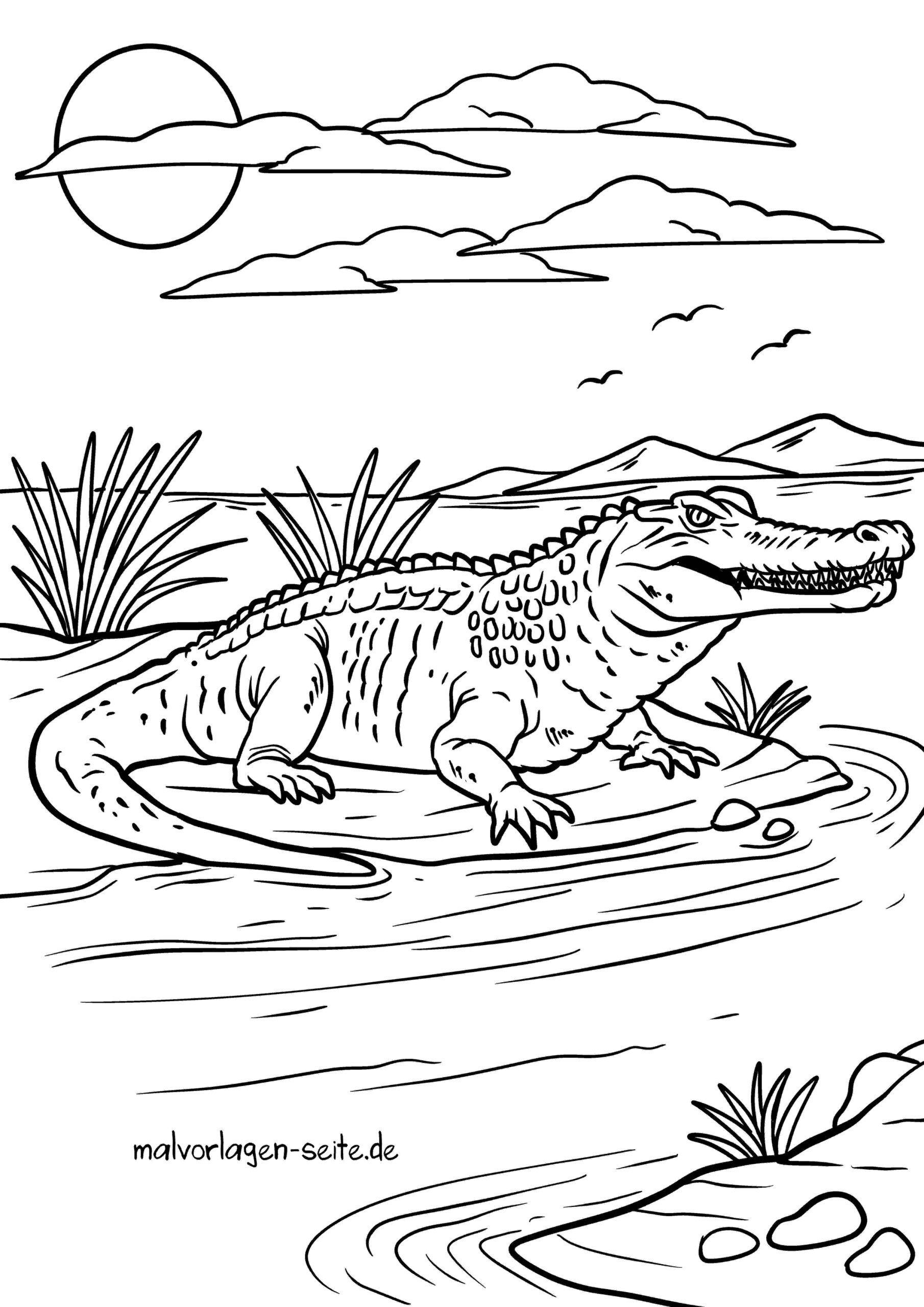 Malvorlage Krokodil