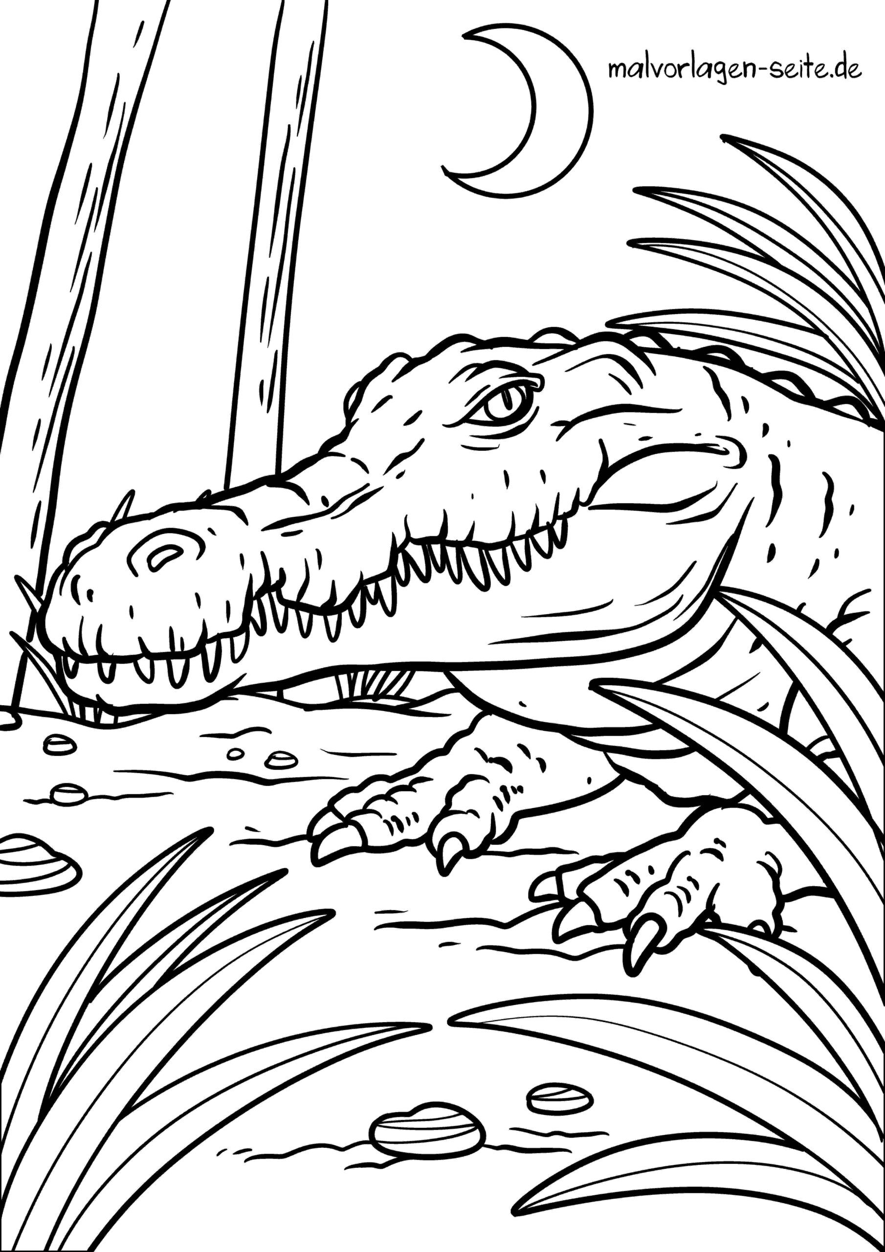 Malvorlage Krokodil