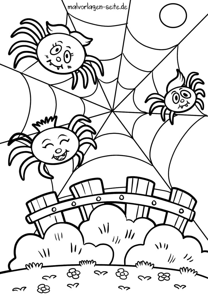  Malvorlage Spinnen - Ausmalbild kostenlos herunterladen Illustration 