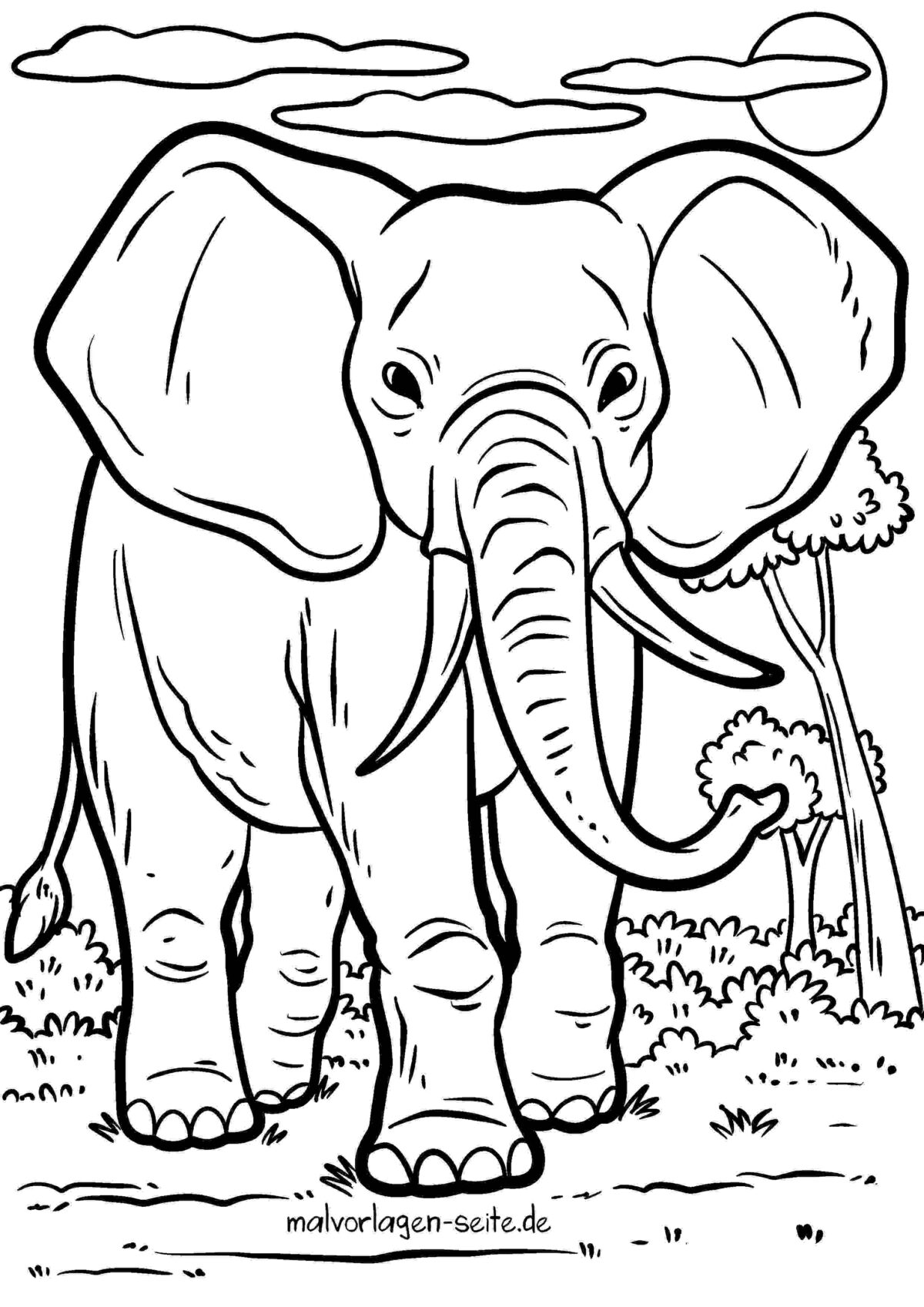 Malvorlage Elefant