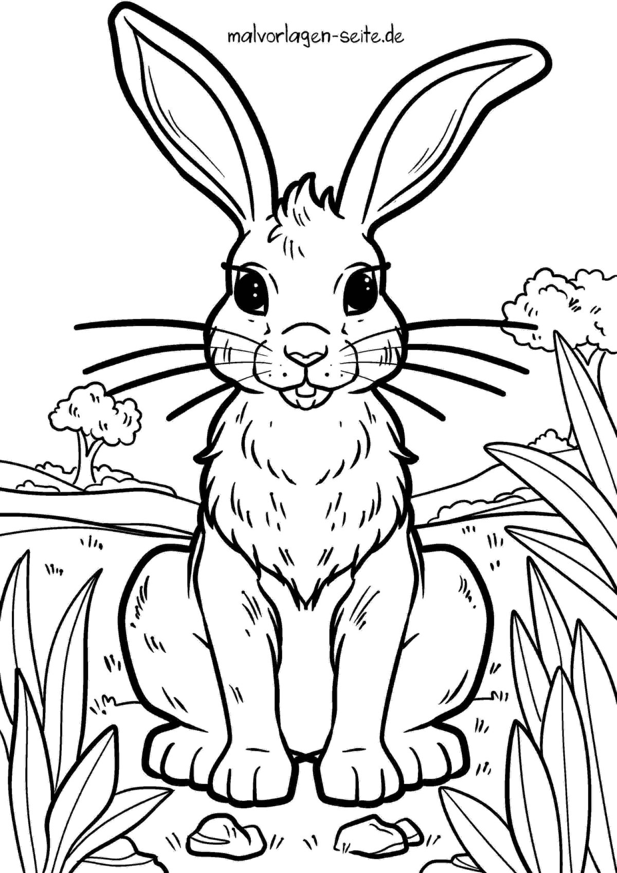 Malvorlage Hase