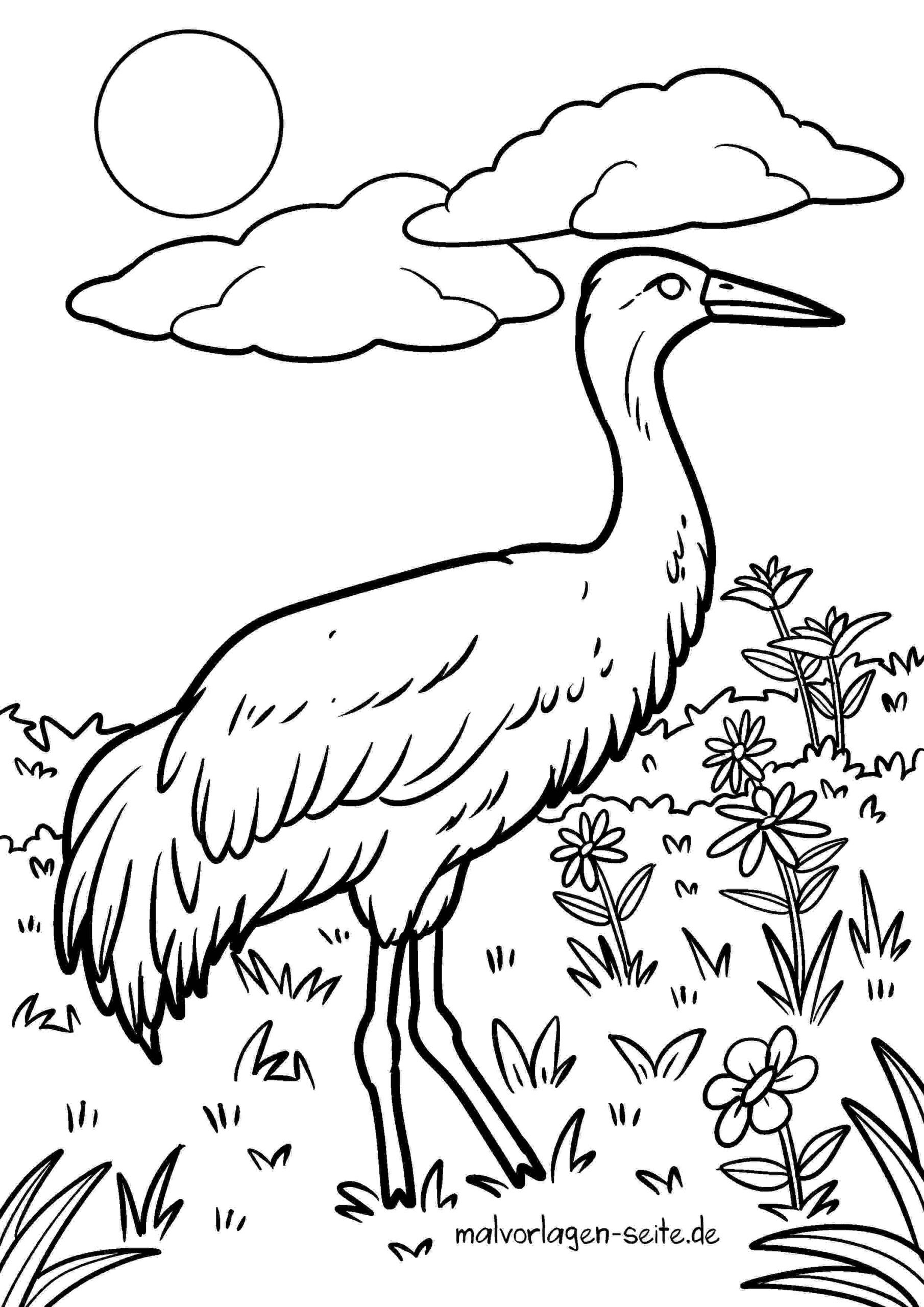 Malvorlage Kranich