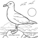 Malvorlage Möwen