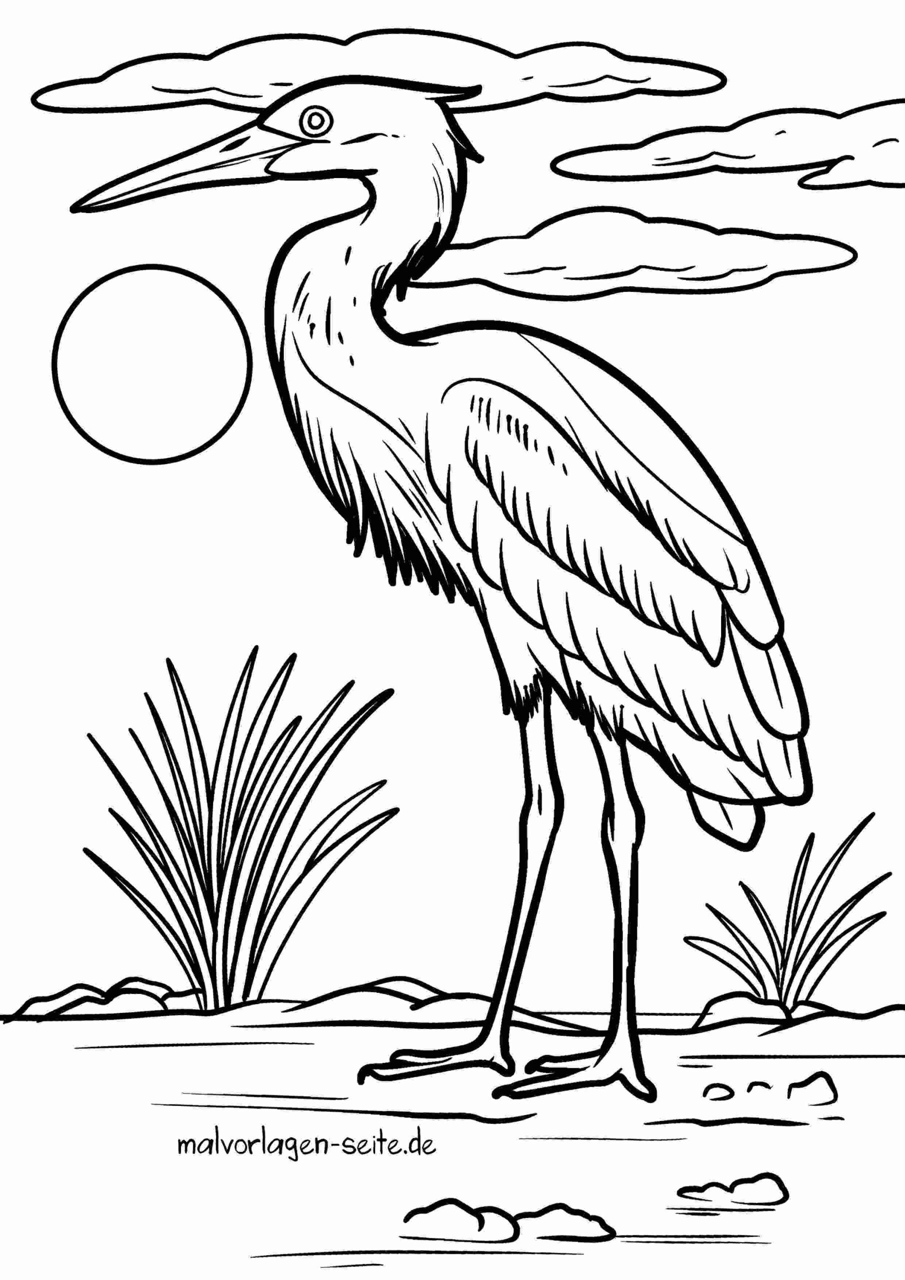 Malvorlage Reiher