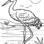 Malvorlage Reiher