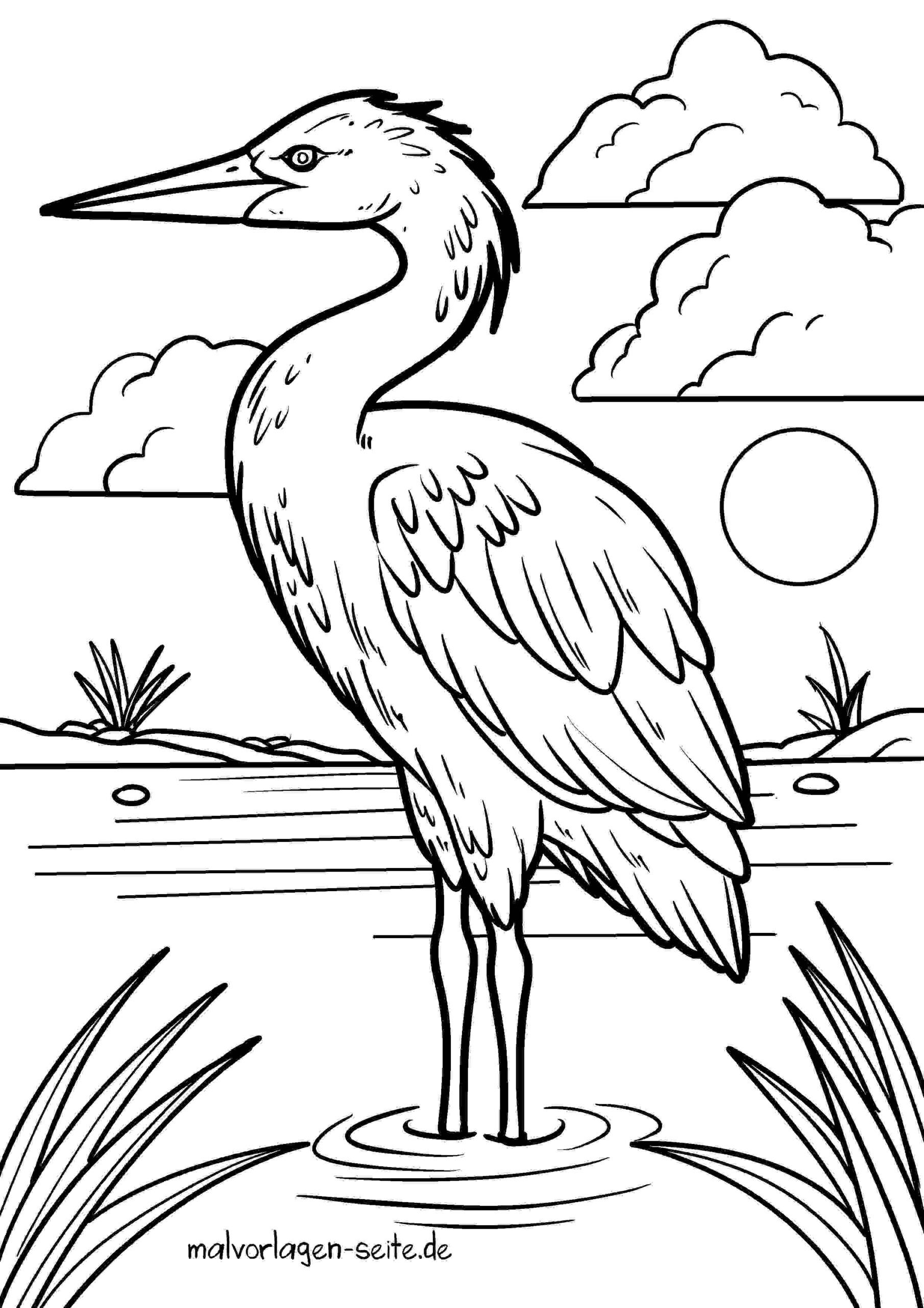 Malvorlage Reiher