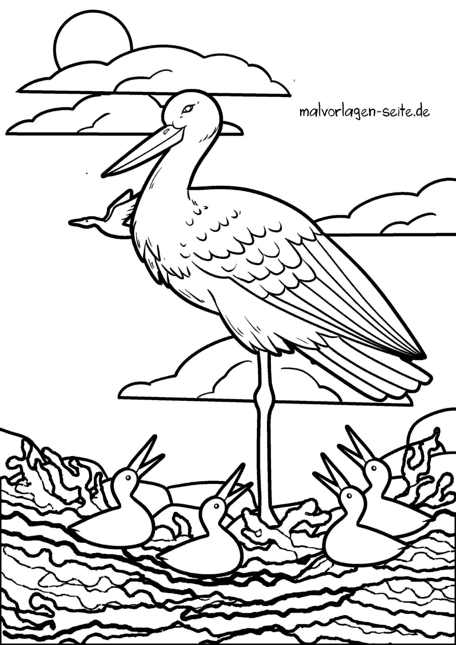 Malvorlage Storch