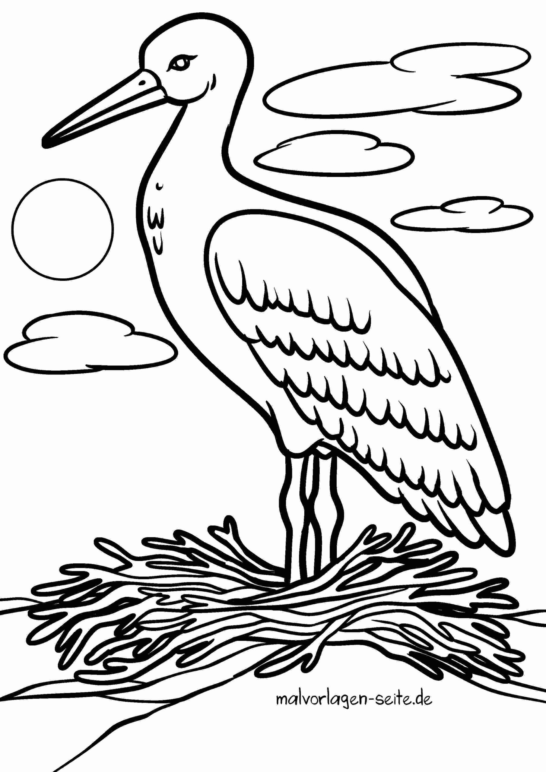 Malvorlage Storch