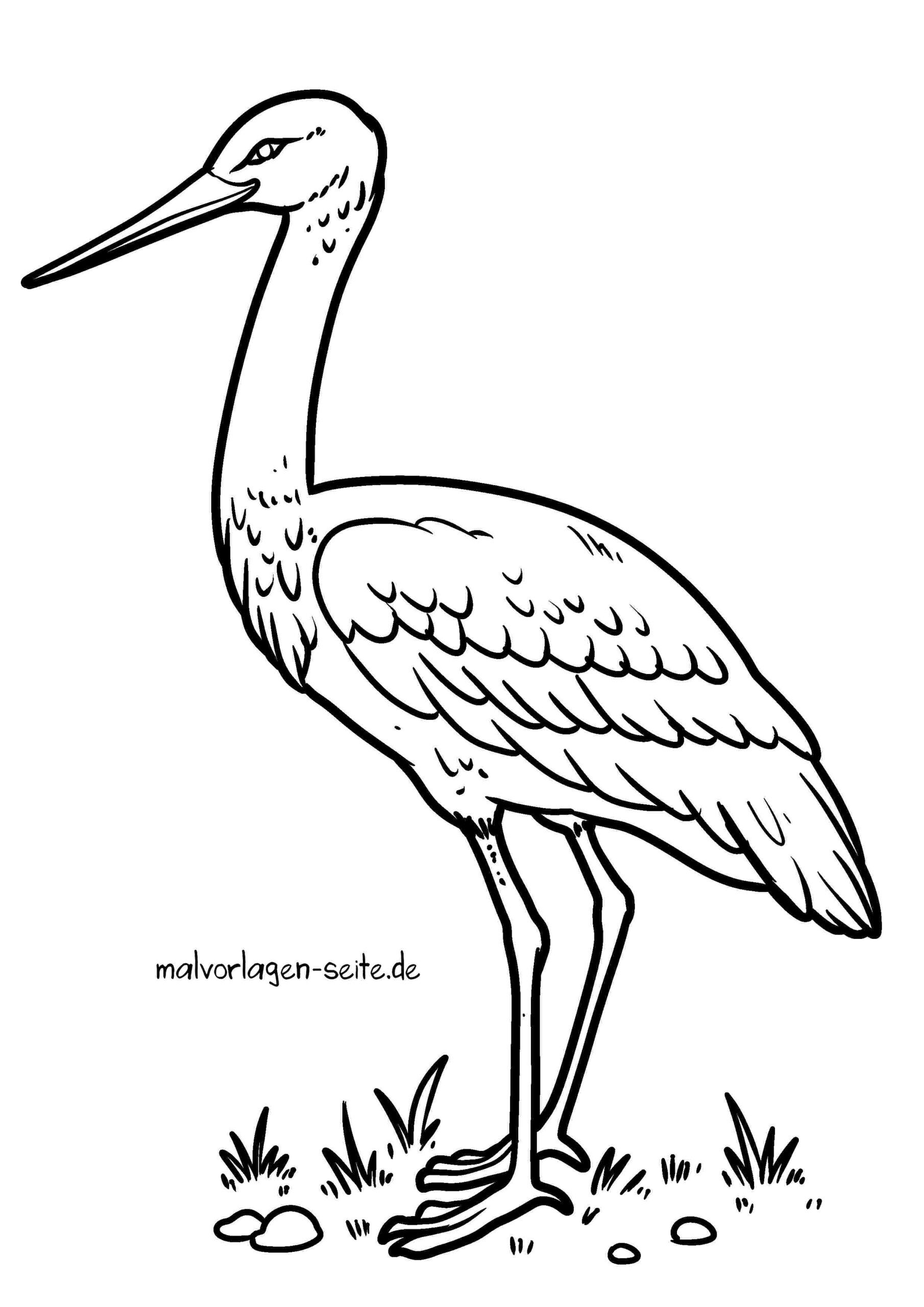 Malvorlage Storch