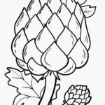 Malvorlage Artischocke