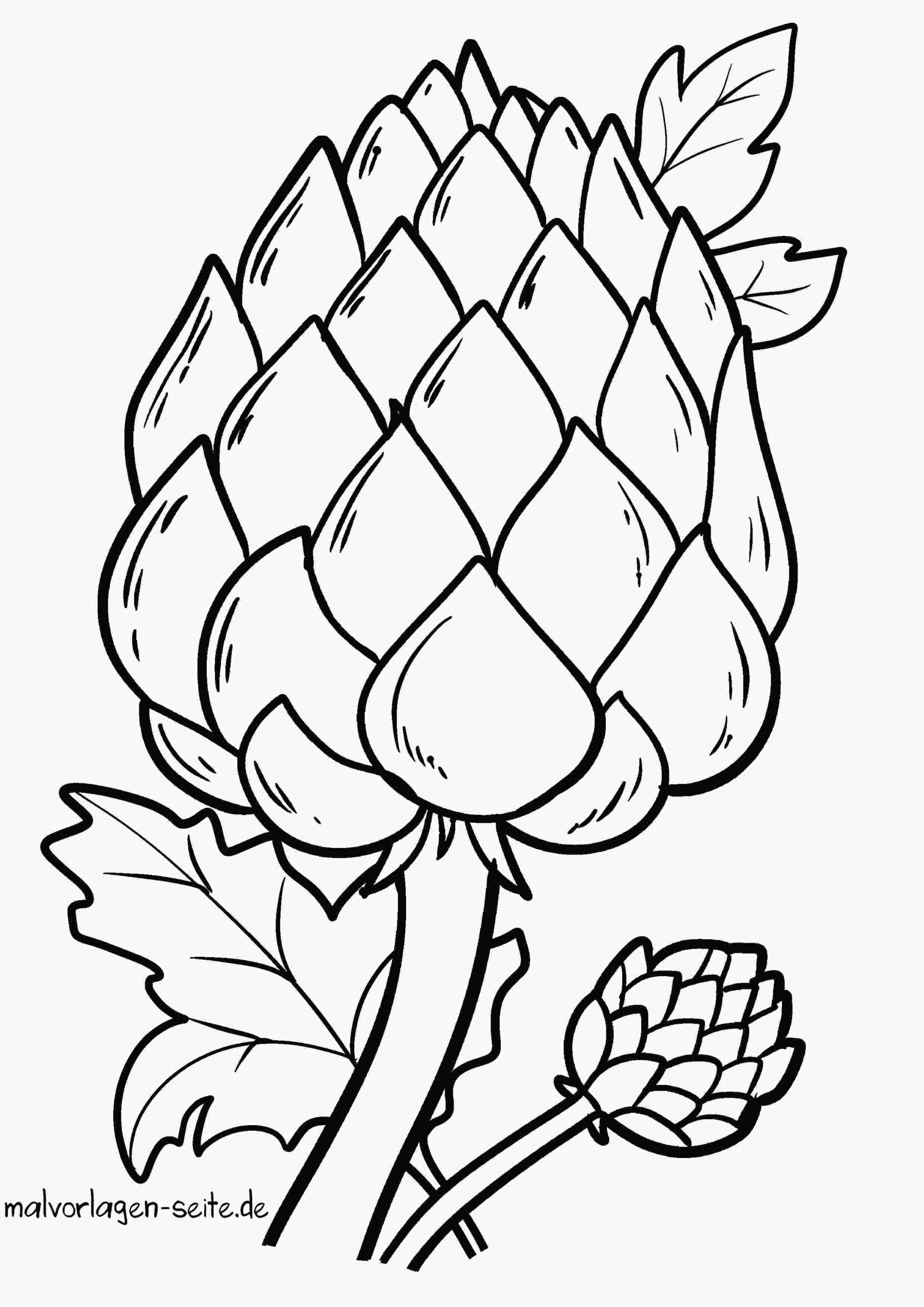Malvorlage Artischocke
