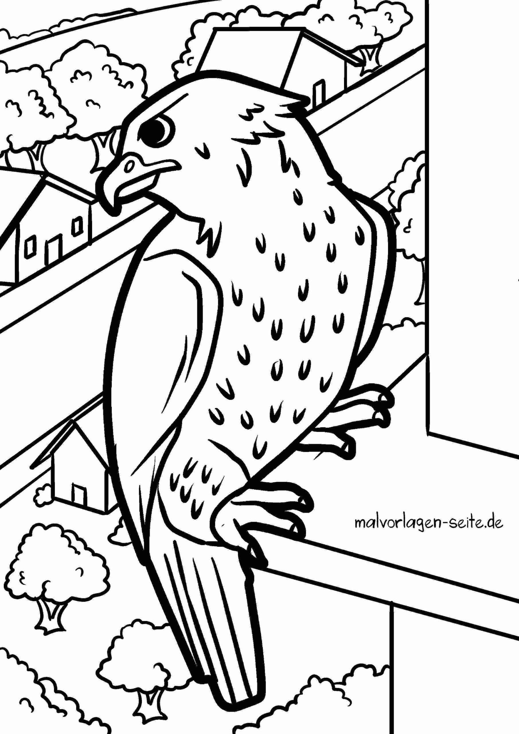 Malvorlage Turmfalke
