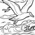 Malvorlage Möwe
