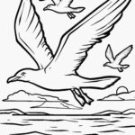 Malvorlage Möwe