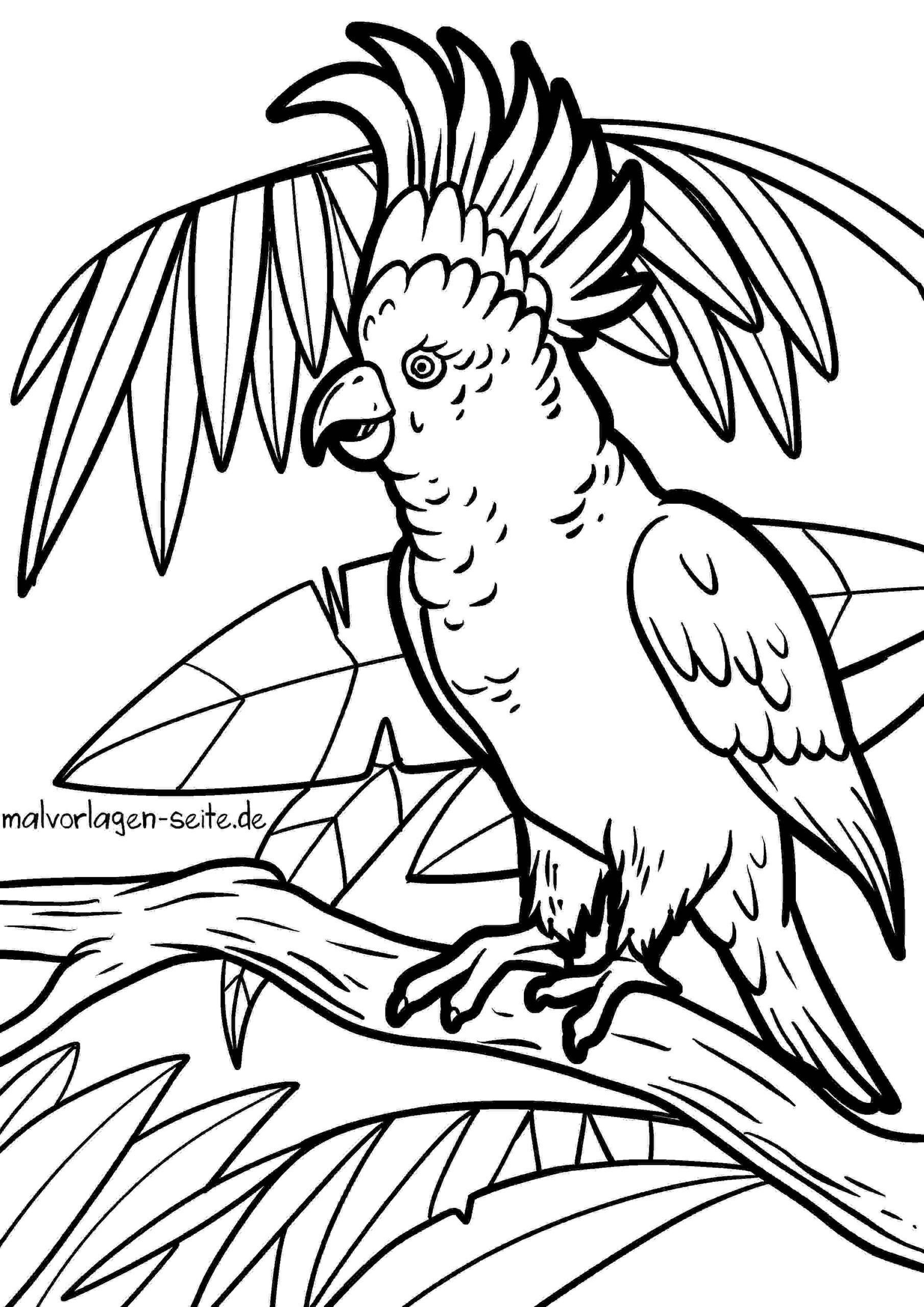 Malvorlage Papagei