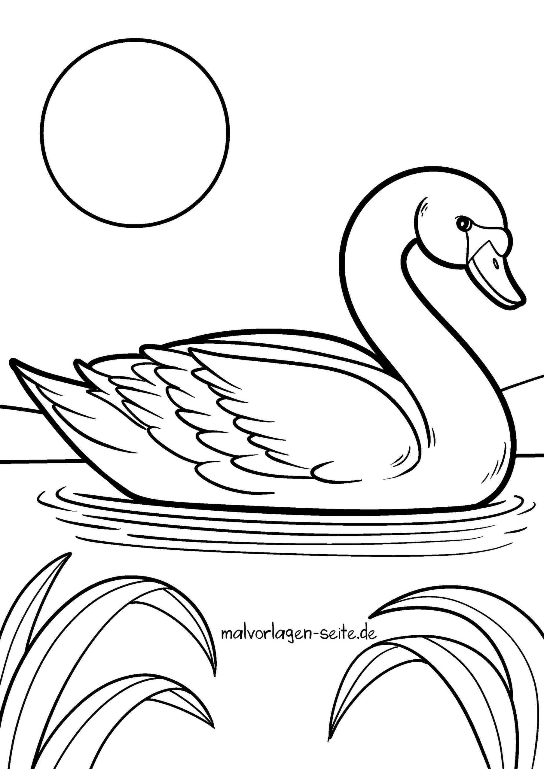 Malvorlage Schwan