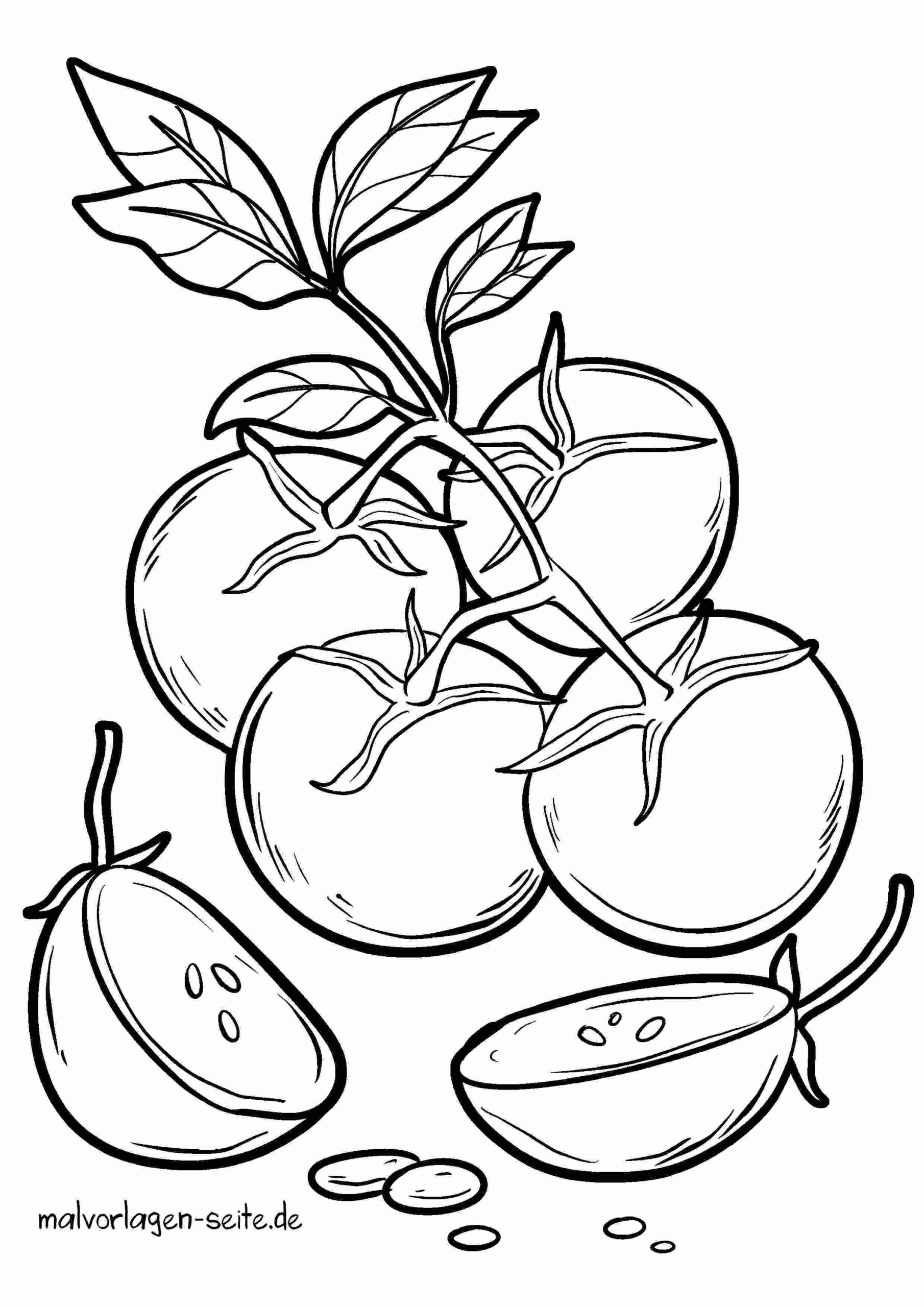 Malvorlage Tomaten