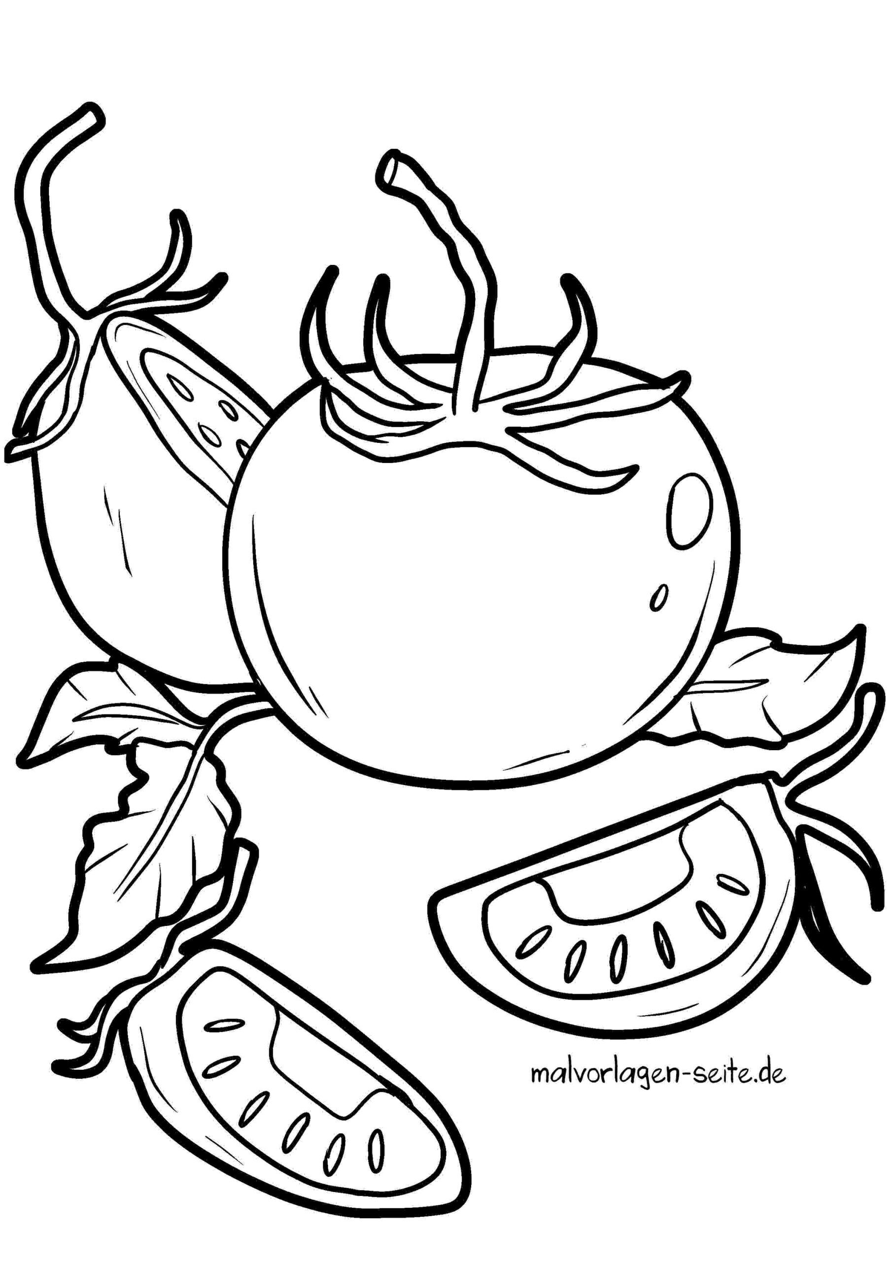 Malvorlage Tomaten