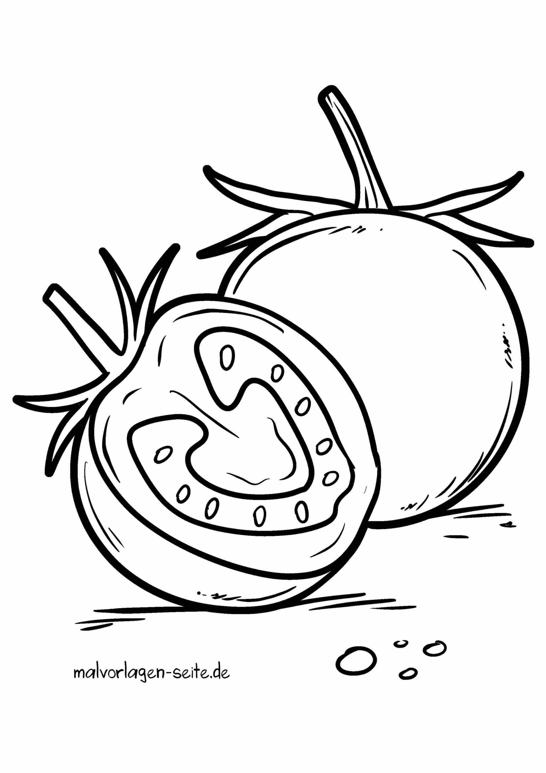Malvorlage Tomaten