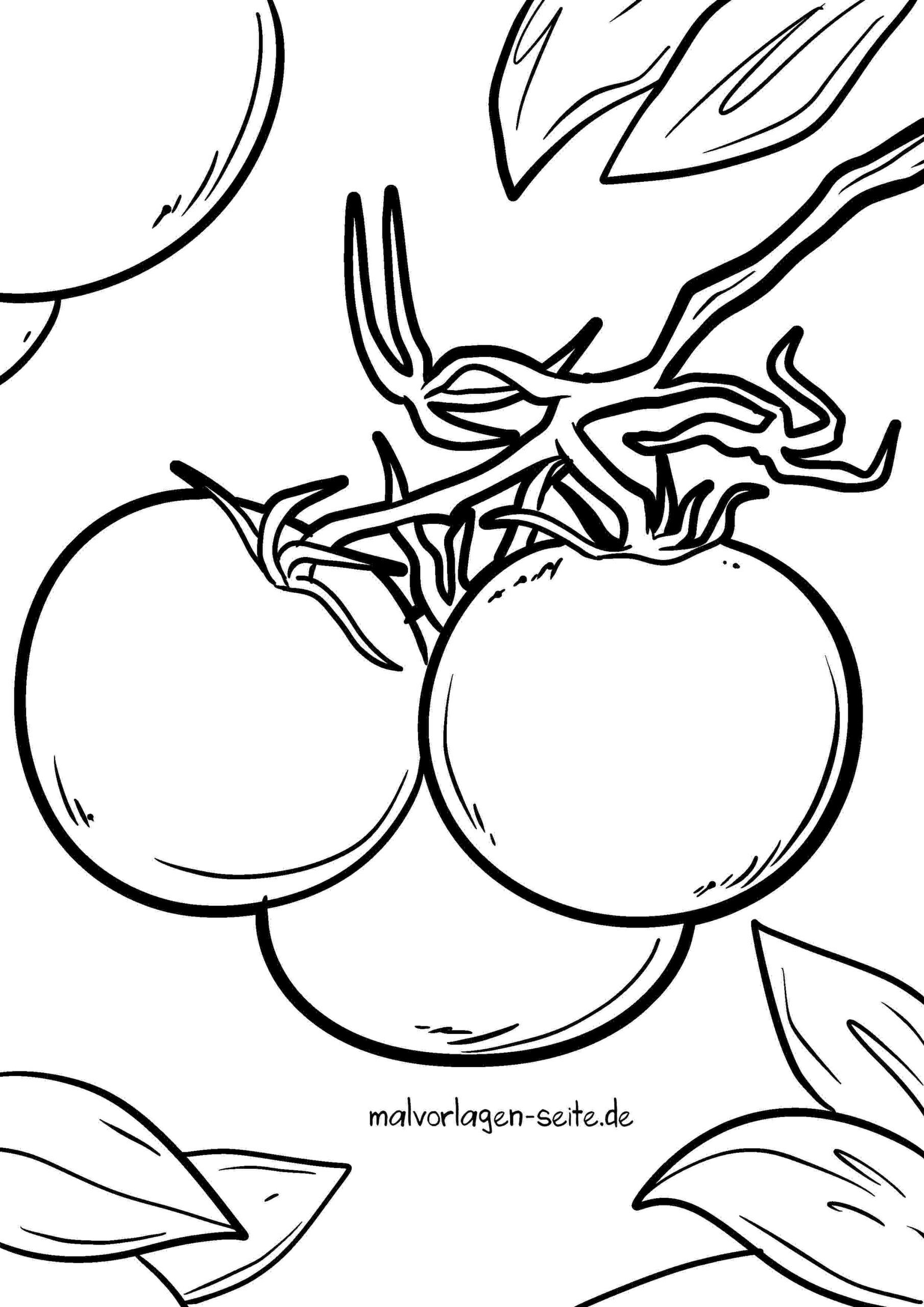 Malvorlage Tomaten
