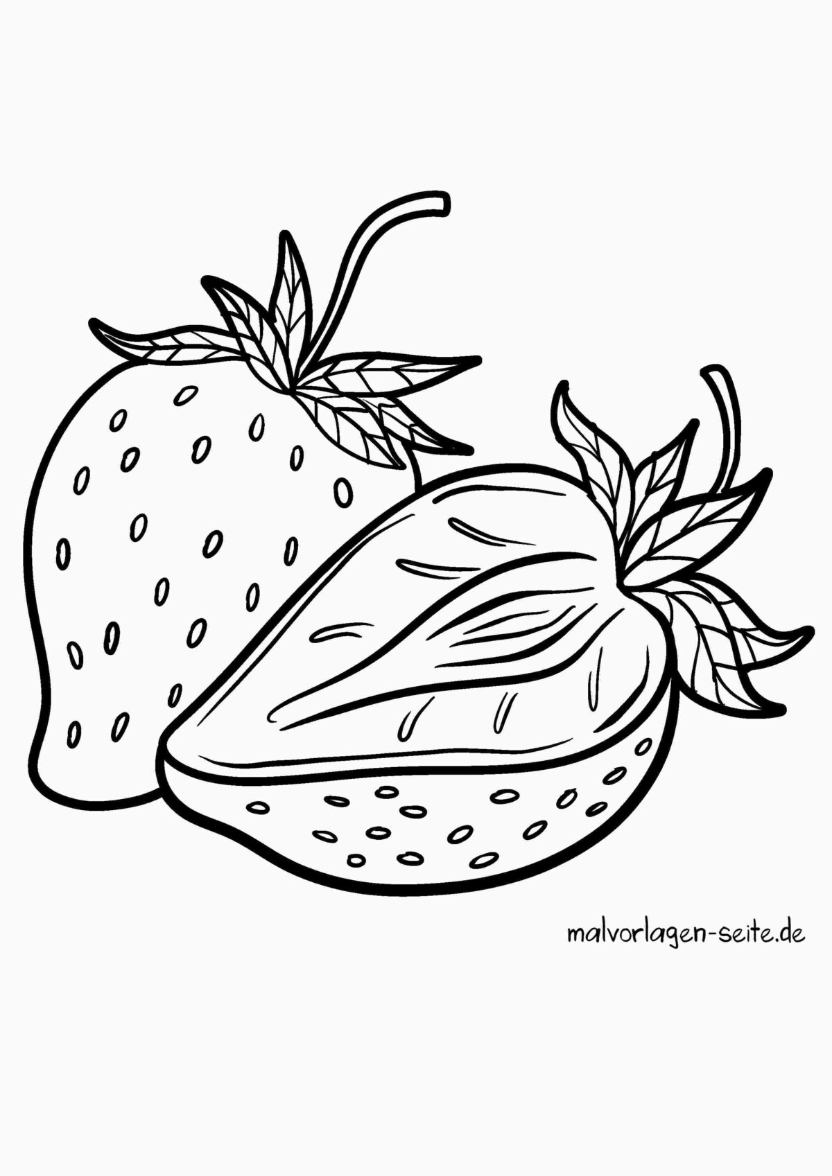 Malvorlage Erdbeeren | Jetzt kostenlos herunterladen