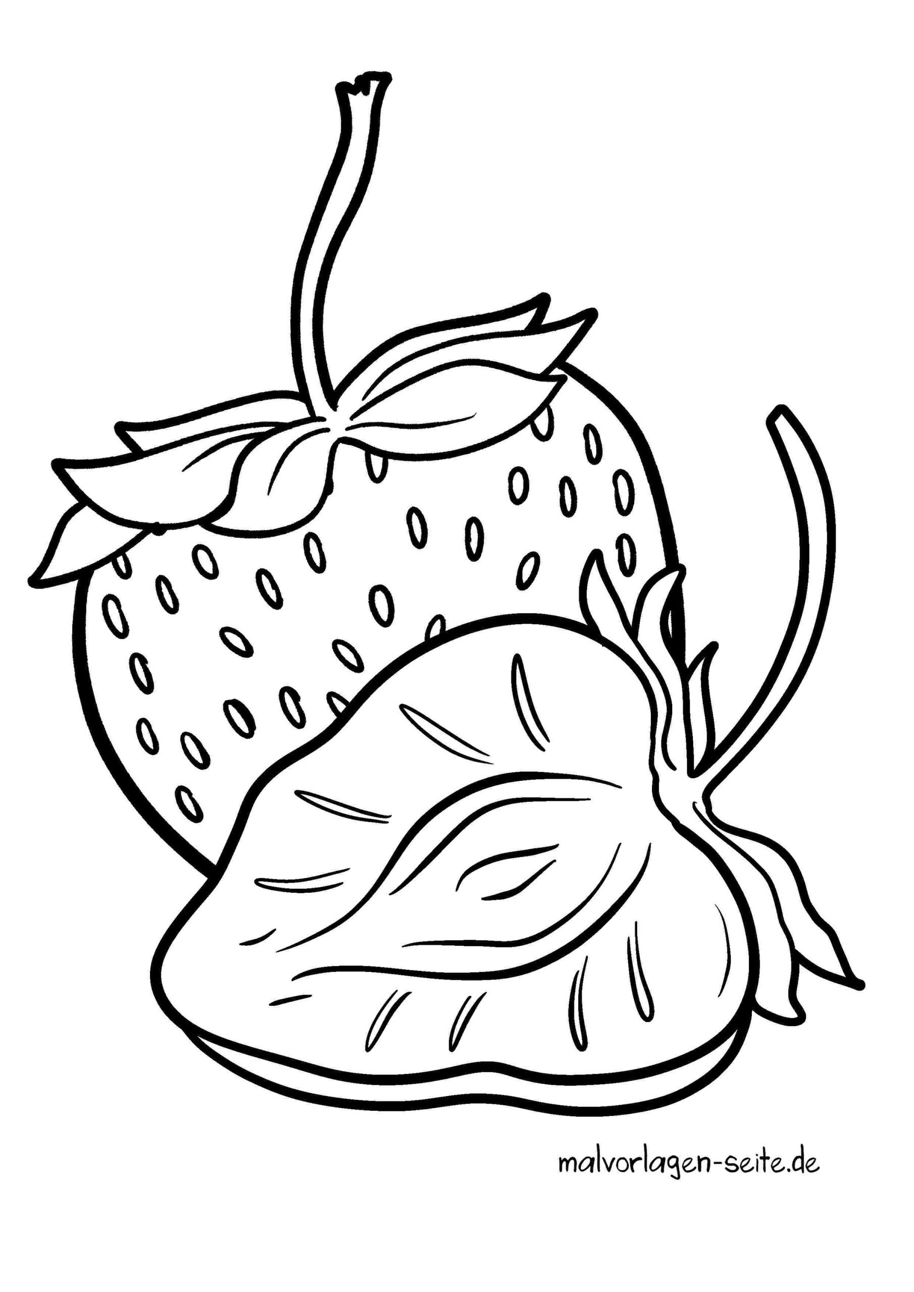 Malvorlage Erdbeeren