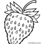 Malvorlage Erdbeere