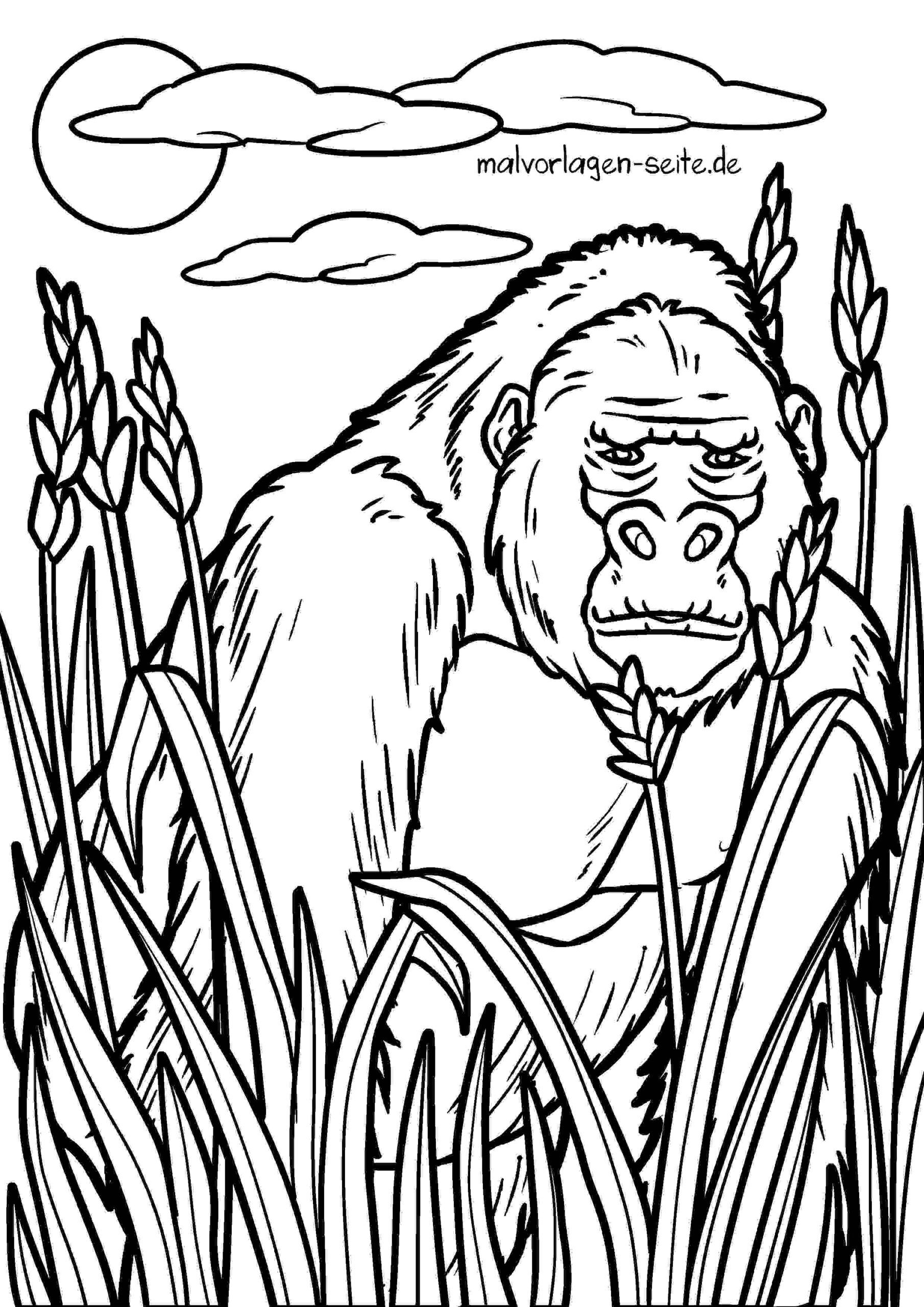 Malvorlage Gorilla