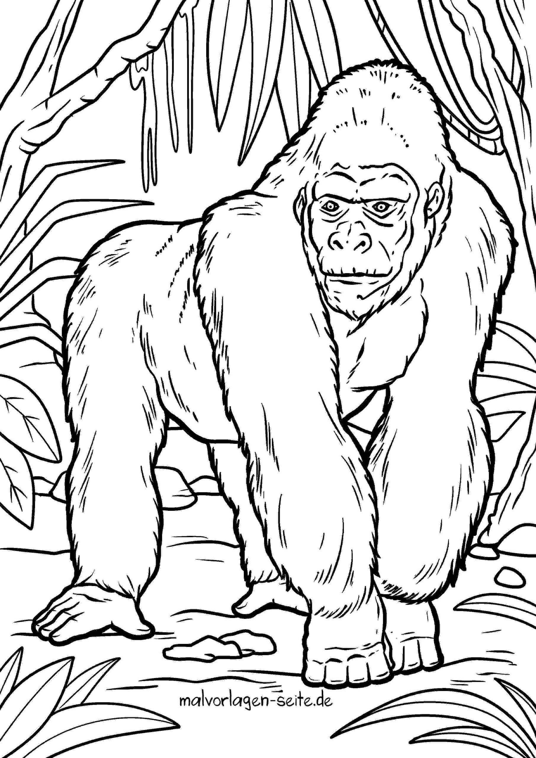 Malvorlage Gorilla