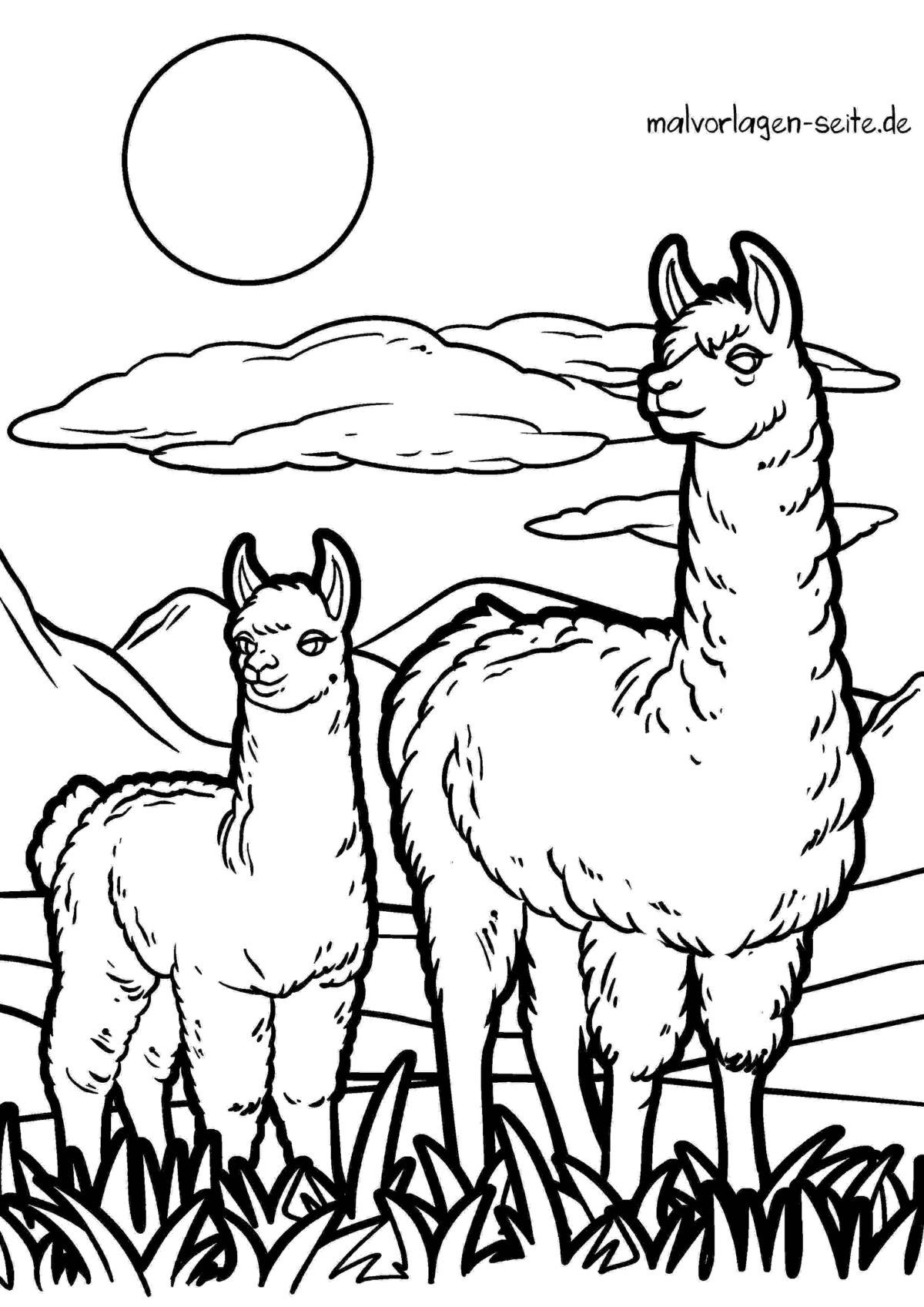 Malvorlage Lamas