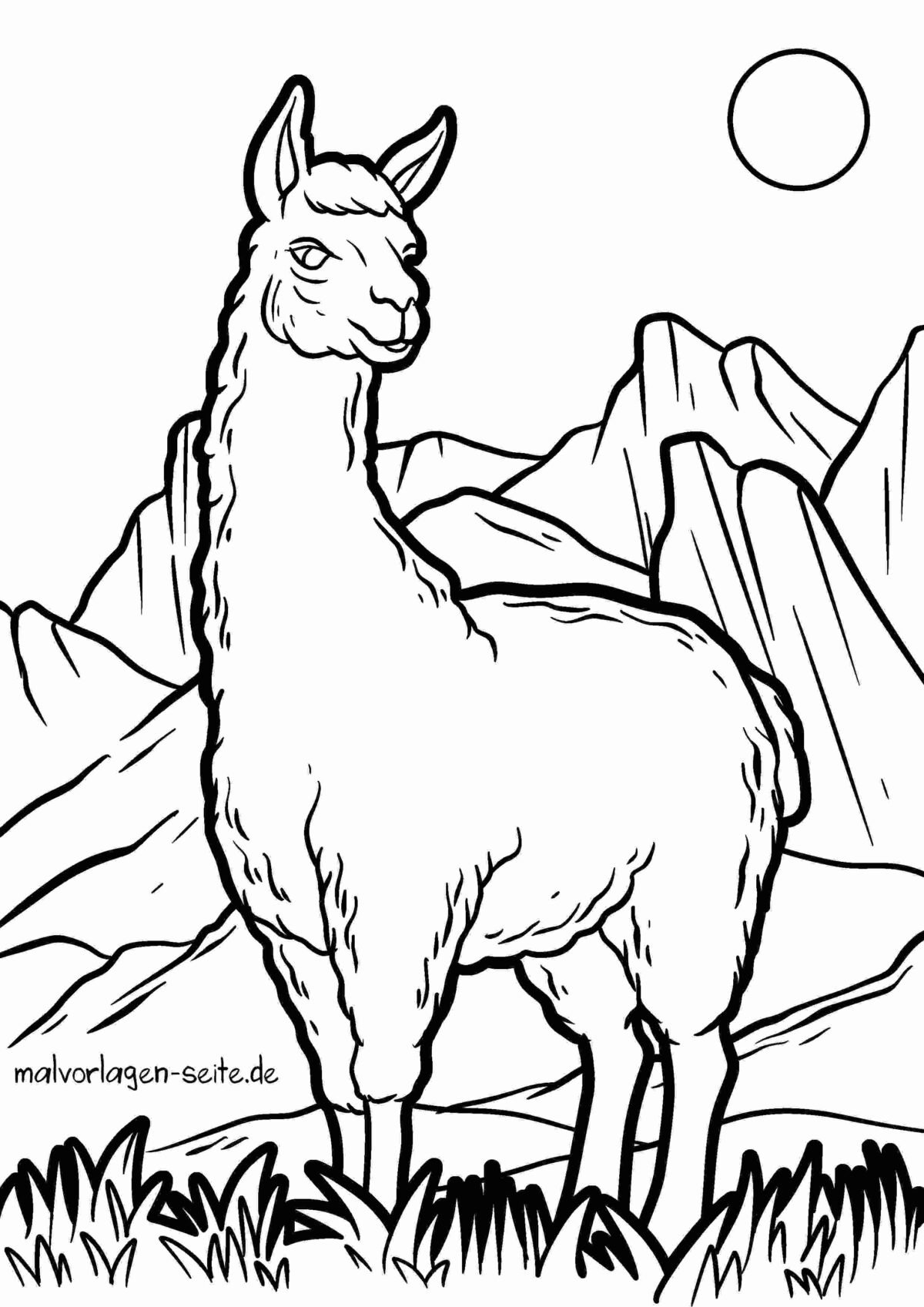 Malvorlage Lama