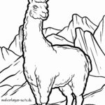 Malvorlage Lama