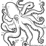 Malvorlage Tintenfisch - Oktopus