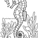 Malvorlage Seepferdchen