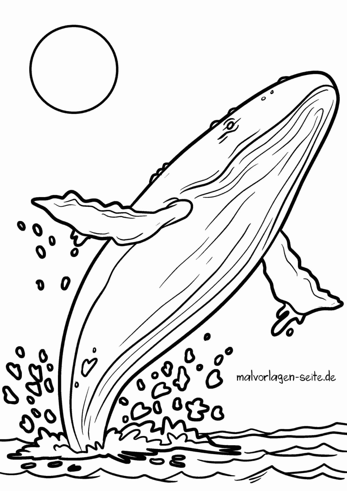  Foto zu Malvorlage Buckelwal - Wal 