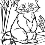 Malvorlage Waschbär