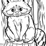 Malvorlage Waschbär