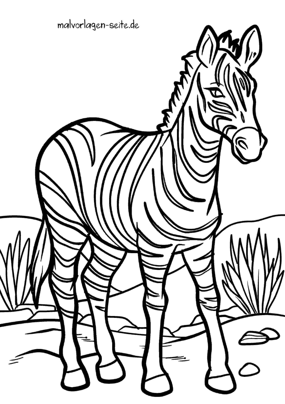 Malvorlage Zebra