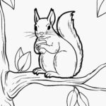 Malvorlage Eichhörnchen