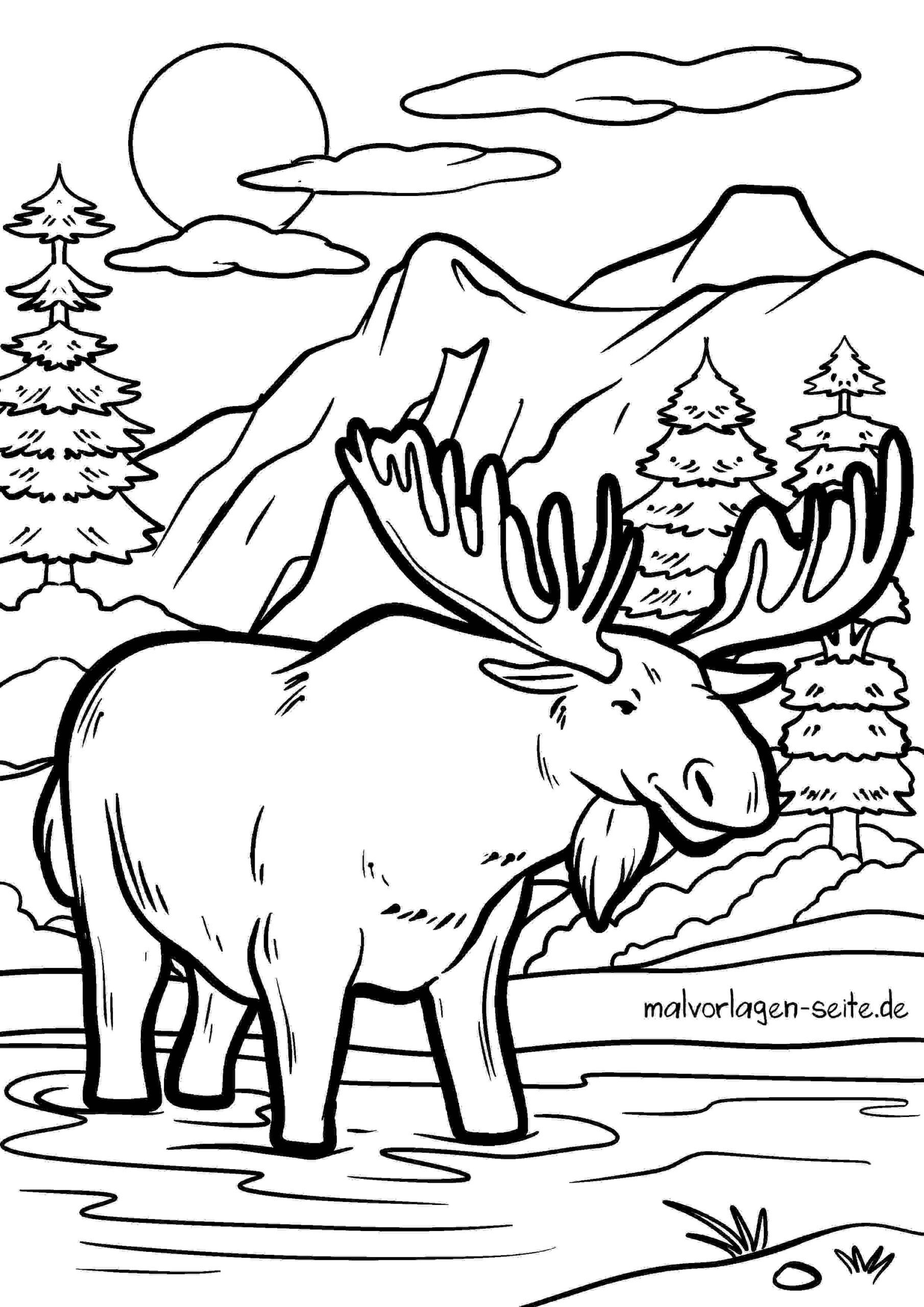 Malvorlage Elch