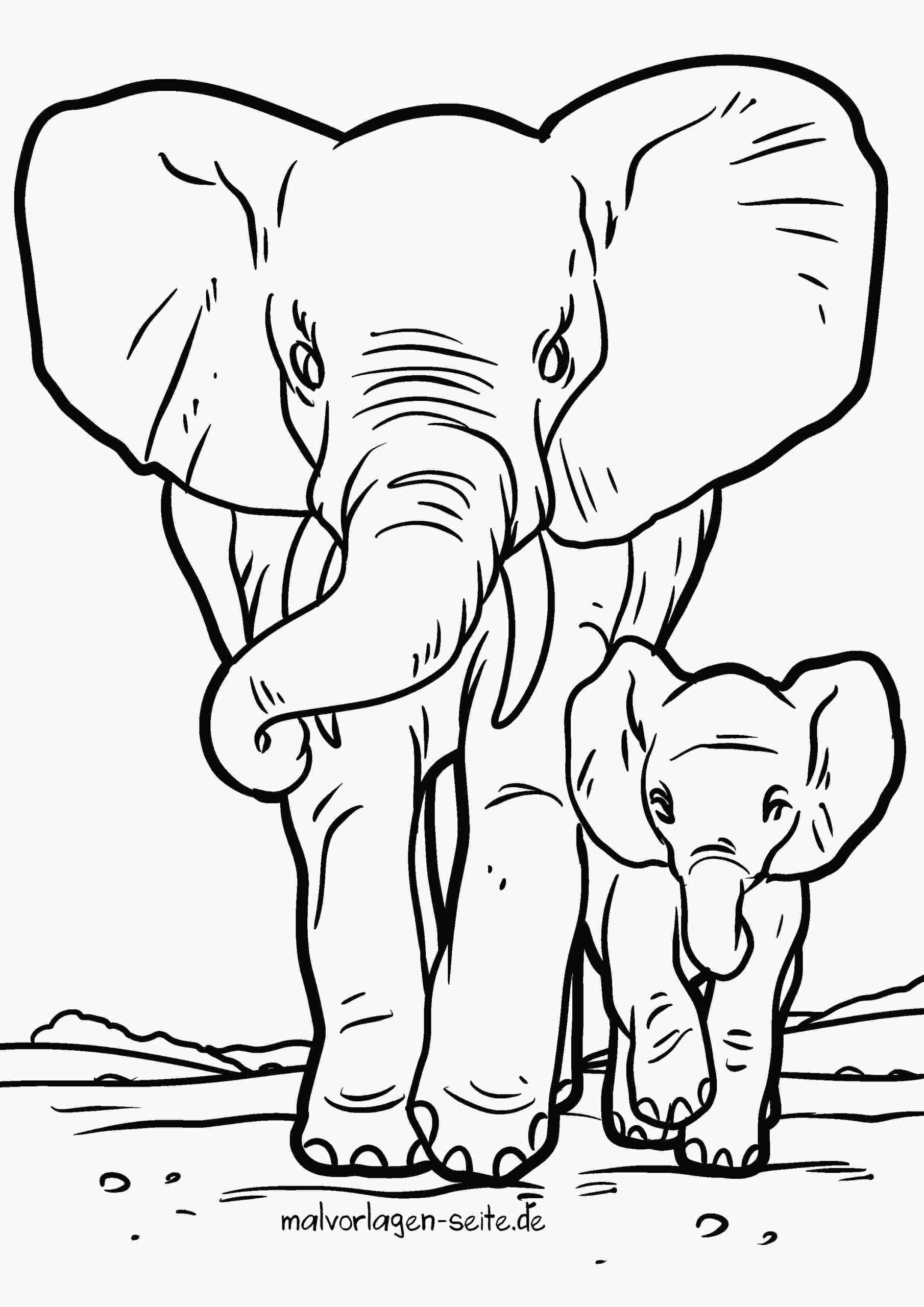 Malvorlage Elefant