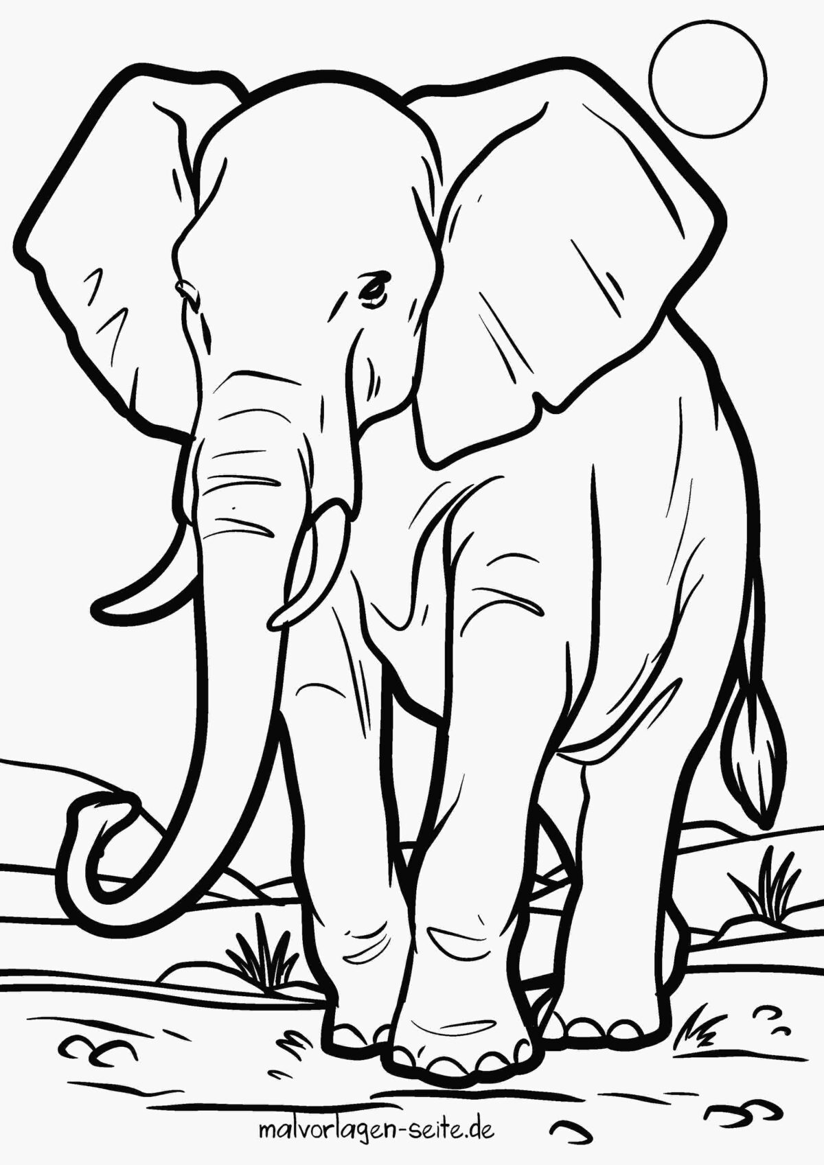 Malvorlage Elefant