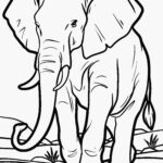 Malvorlage Elefant
